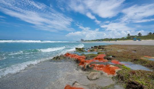 Red Reef park