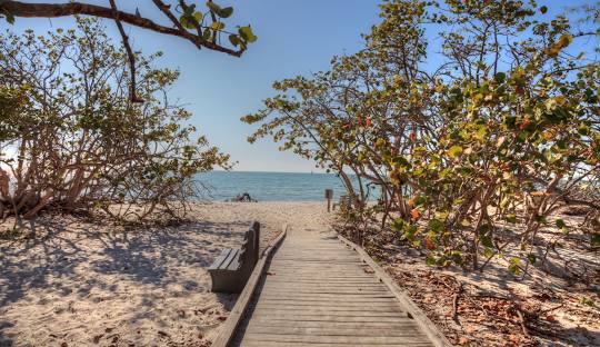 Delanore Wiggins state park naples, fl